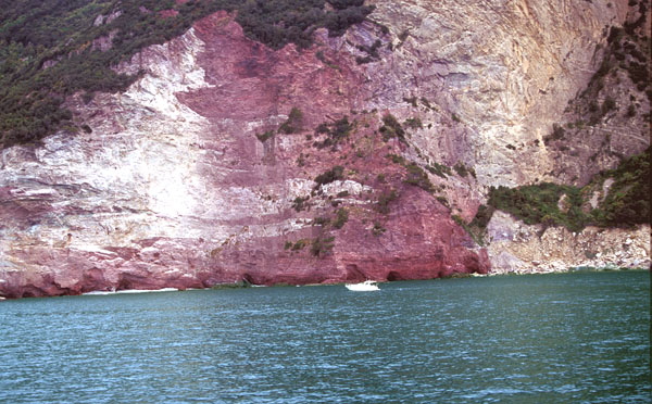 image33