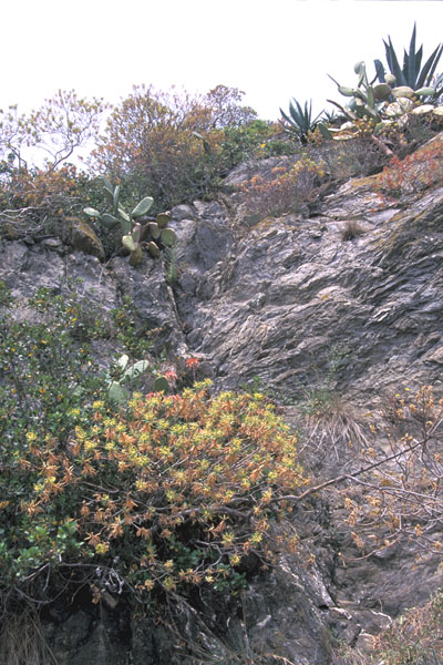 image42