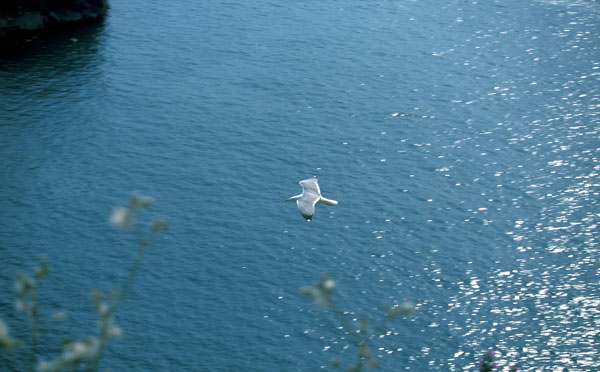 image57