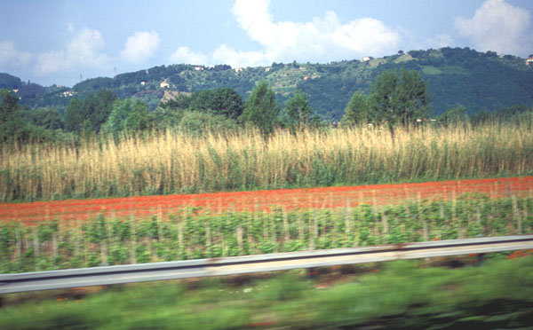 image60