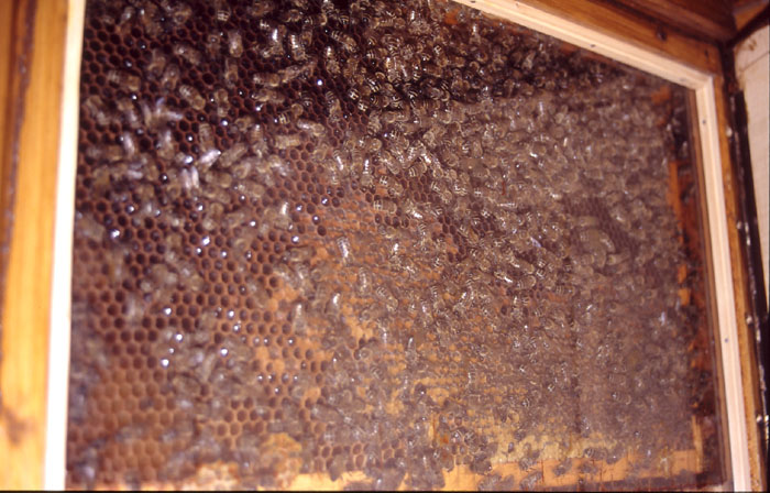 05