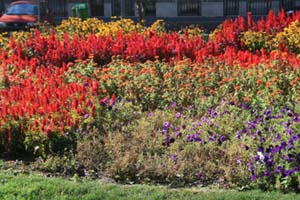 IMG_1022