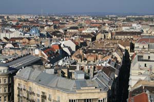 IMG_1039