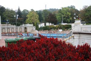 IMG_2308