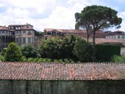 IMG_4364