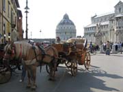 IMG_4306