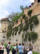 IMG_4377