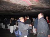 IMG_7528