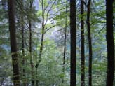 IMG_7582