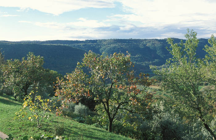 image03