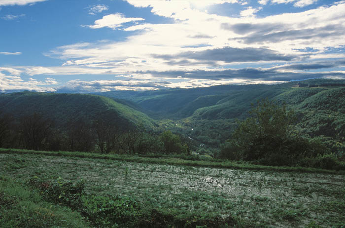 image05