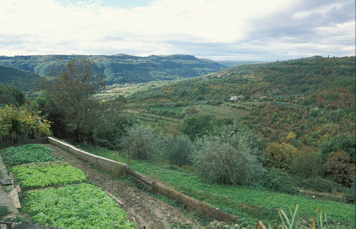 image06