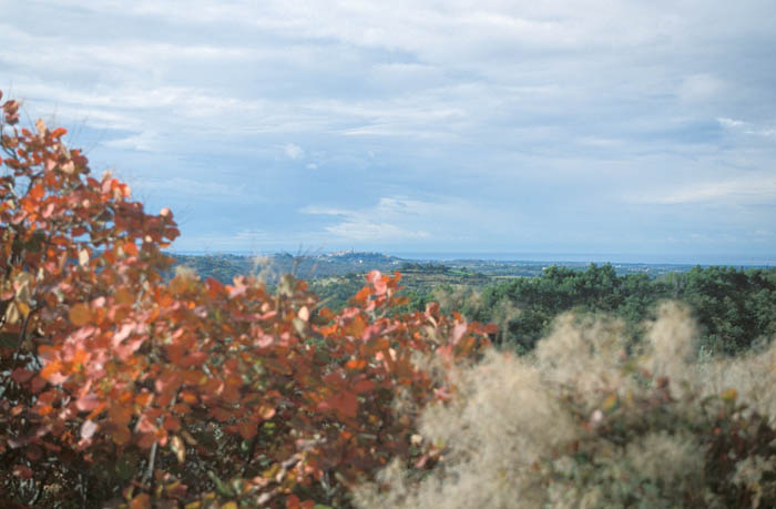 image08