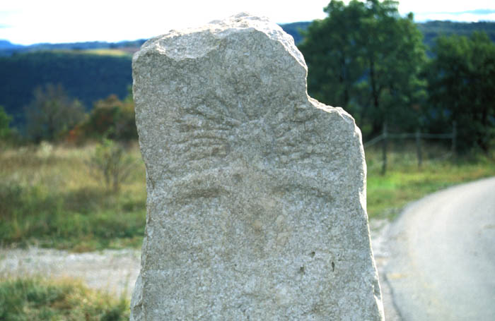 image09