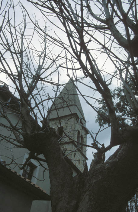 image14