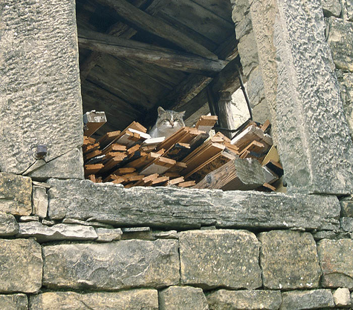 image15