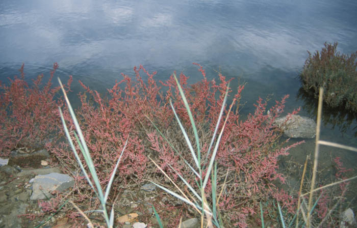 image24