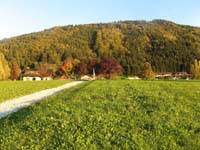 IMG_0815_re