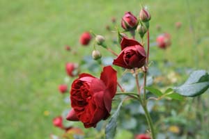 IMG_5085