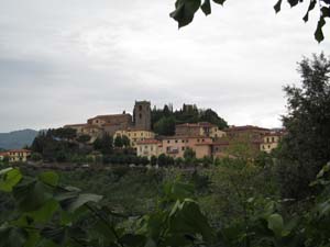 IMG_5101