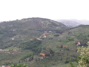 IMG_5106