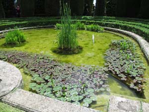 IMG_5139