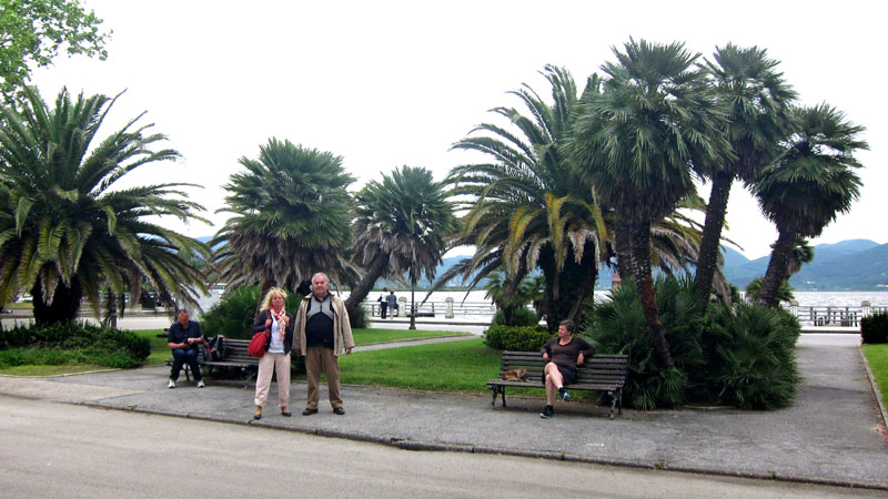 Toska13(2012)