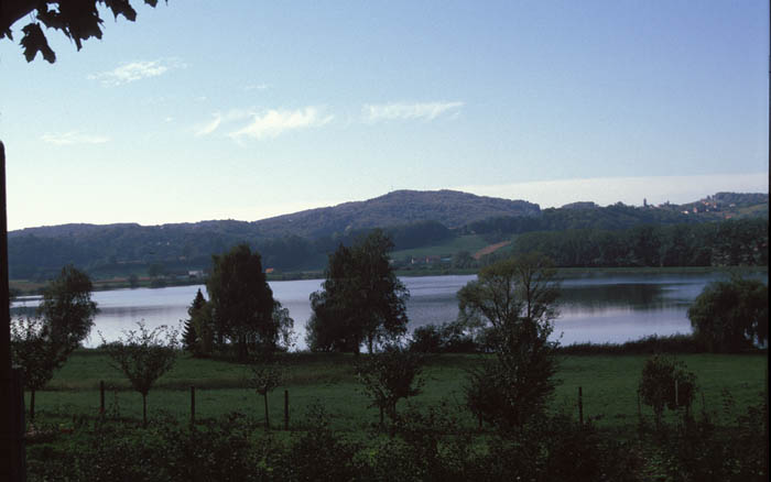 image28