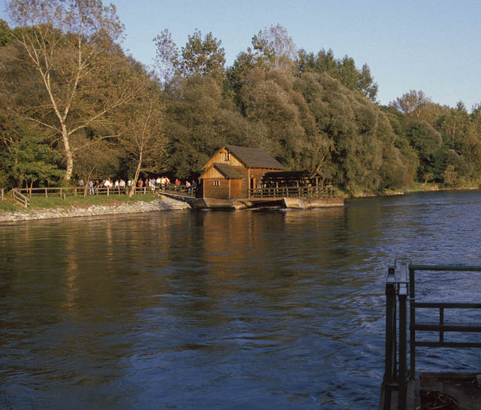 image33