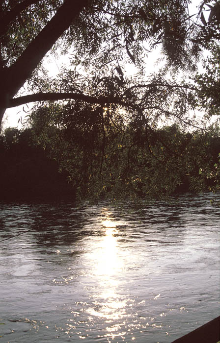 image35