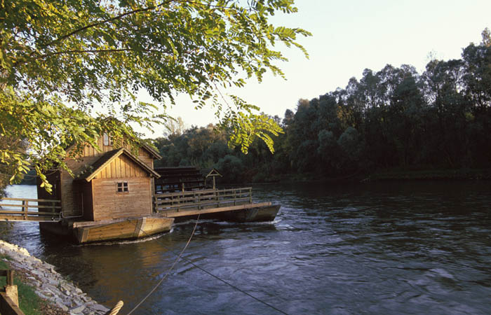 image38