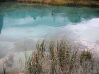 IMG_5774