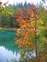IMG_5797