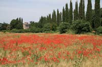 IMG_9600