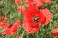 IMG_9632