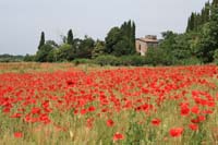 IMG_9650