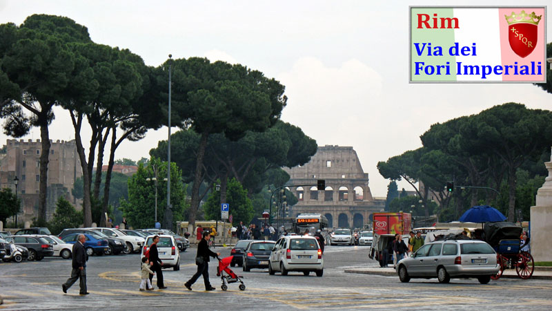Rim(20106)