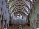 IMG_5915