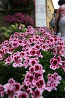 im3a_0321
