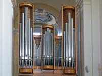 IMG_4556
