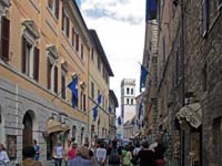 IMG_4598