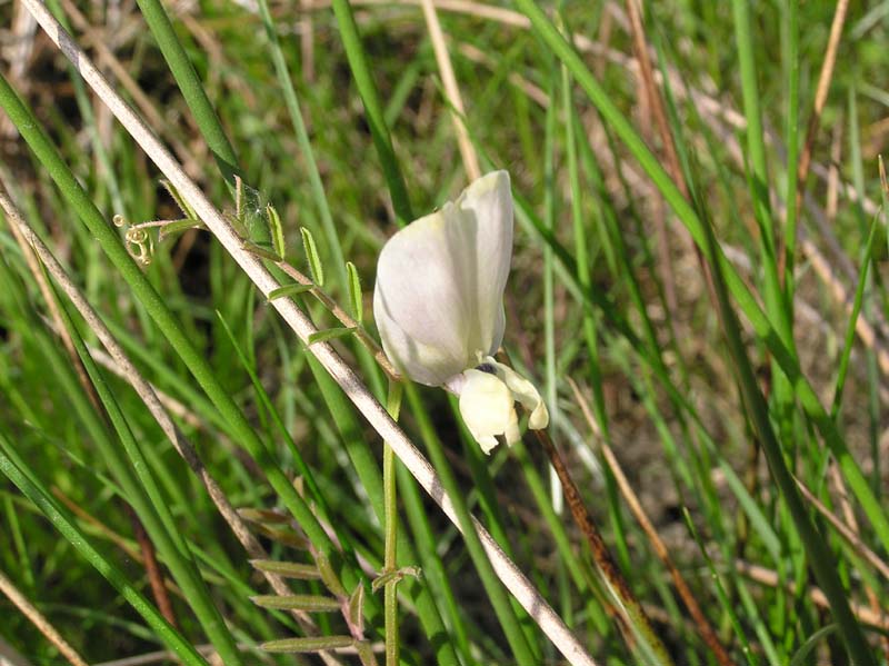 P5010819