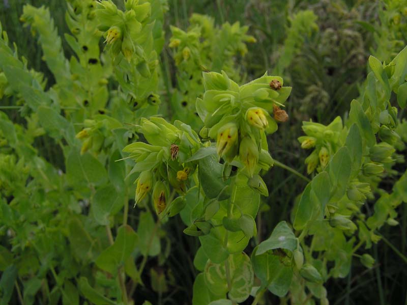 P6081387