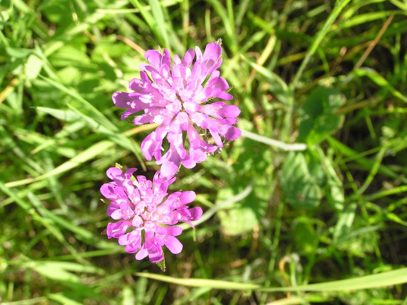 P7181537