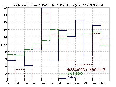 Padavine
                                    po mesecih 2019